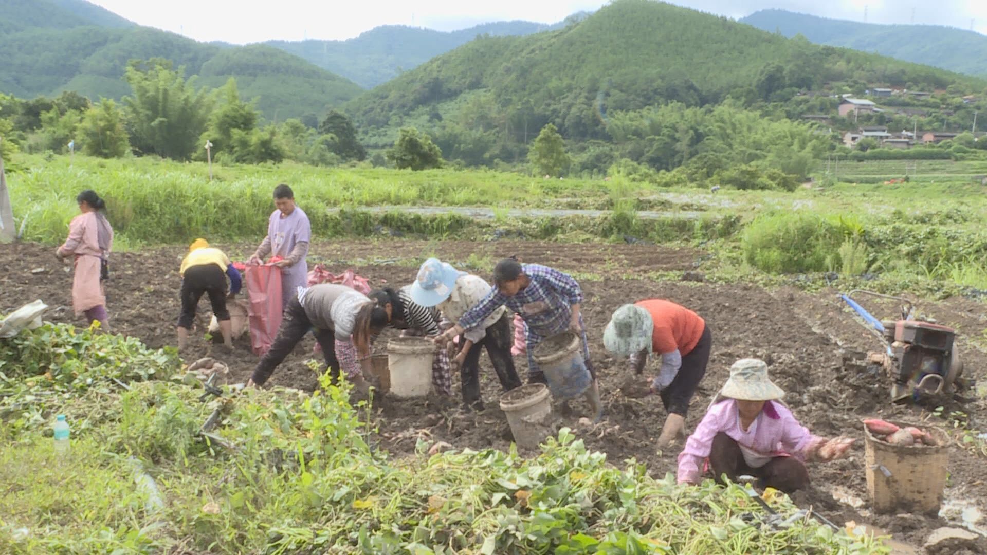 Still0702_00083.jpg Still0702_00083.jpg