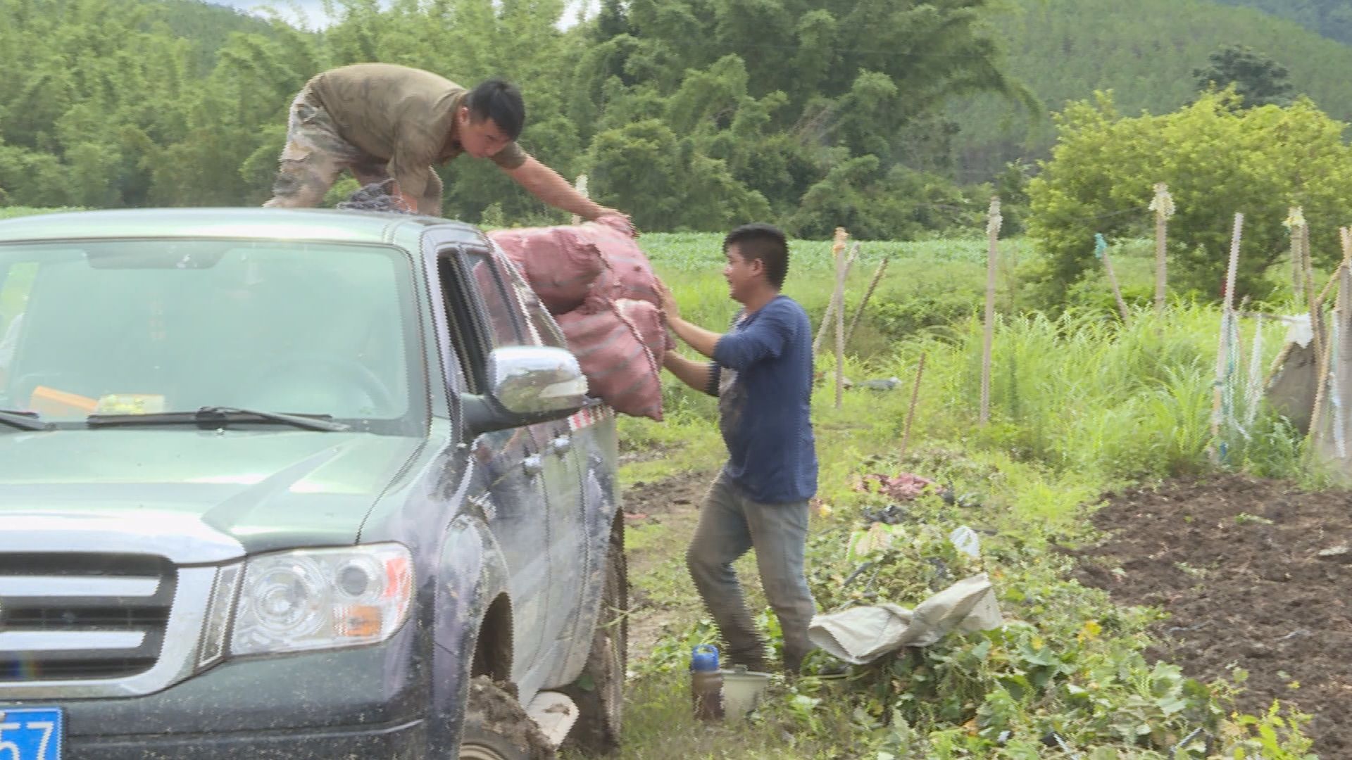 Still0702_00082.jpg Still0702_00082.jpg