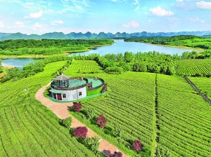 “爽爽贵阳”是什么味道？贵阳推出爽口美食“大礼包”