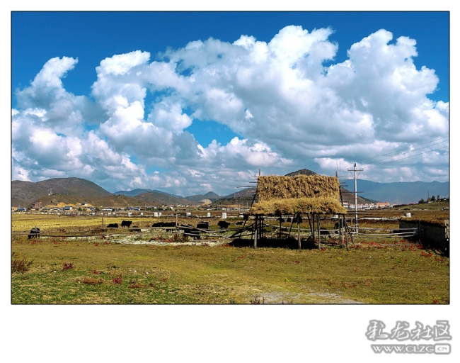 6szc48qbsrl 6szc48qbsrl