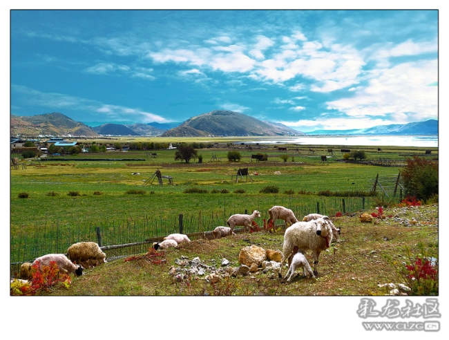 10tq19w8fnrb 10tq19w8fnrb