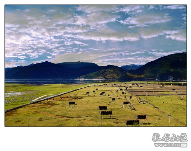 x3drm17qvvn x3drm17qvvn