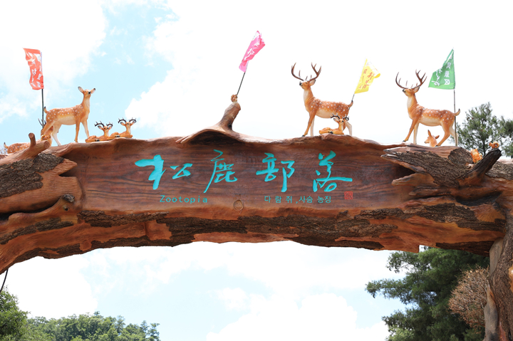 55defadbb23d11bbb0577d0467382322