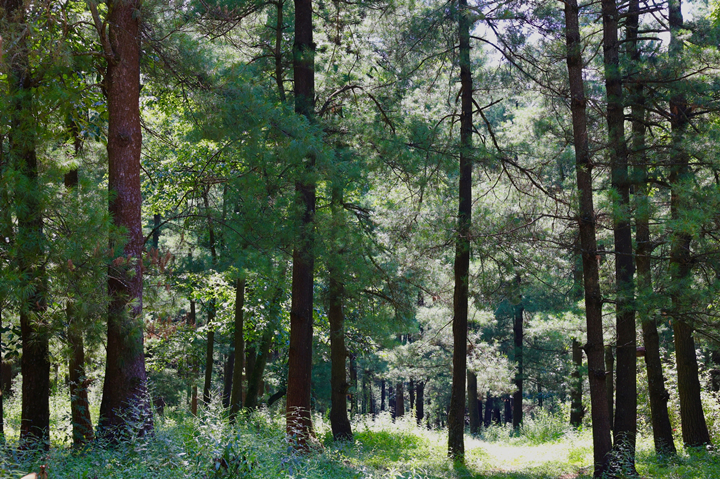 d2de101e6fa357d8d7a81a56c75b9238