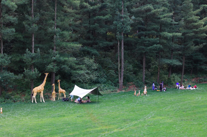 5b584f4c85e4f889015c12a1a377b543