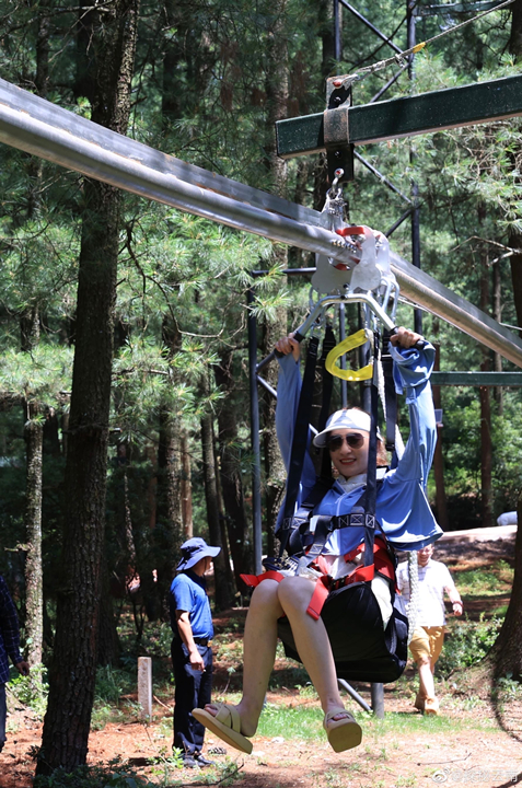 20533c8f785d75c80b670c01b3c72232