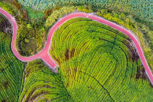 羊楼洞古镇（供图）