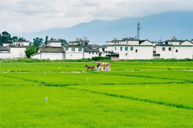 （大理喜洲 王泽航 摄影）.jpg