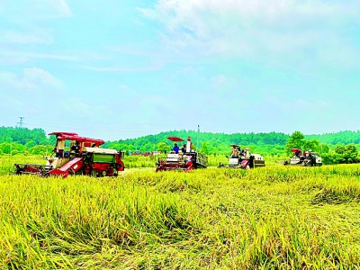 江西:续写红土圣地新荣光 江西:续写红土圣地新荣光