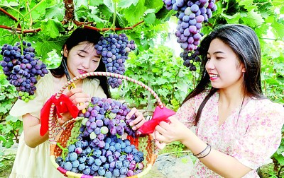 山东:高质量发展积厚成势 山东:高质量发展积厚成势