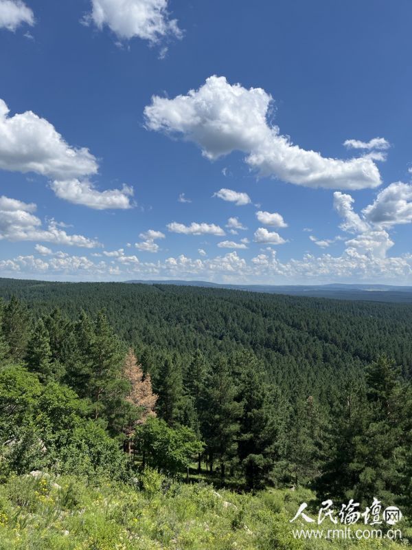 5fdda896-d6c3-437d-ae43-5bd5541a1809