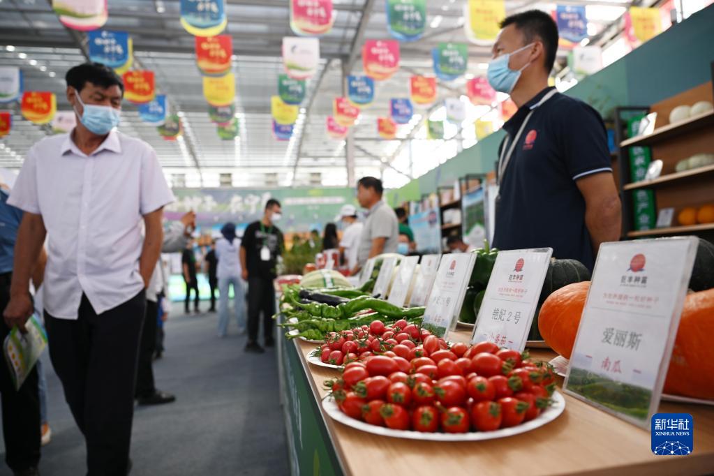 第九届宁夏种业博览会开幕