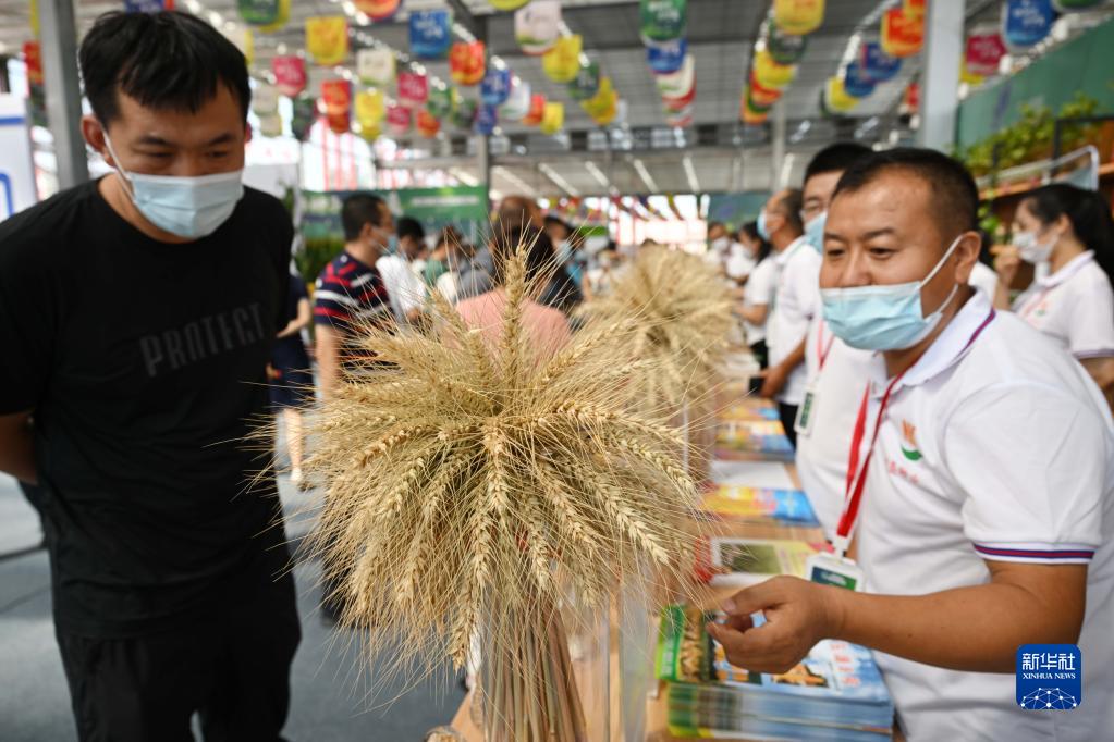 第九届宁夏种业博览会开幕