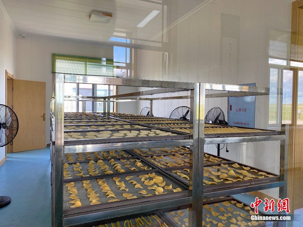 图为芒来嘎查传统奶制品加工作坊。 苏亦瑜 摄 图为芒来嘎查传统奶制品加工作坊。 苏亦瑜 摄