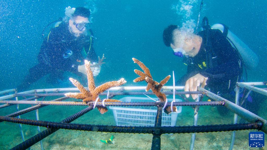 奋进新征程 建功新时代·非凡十年丨海南:打造展示中国风范、中国气派、中国形象的靓丽名片