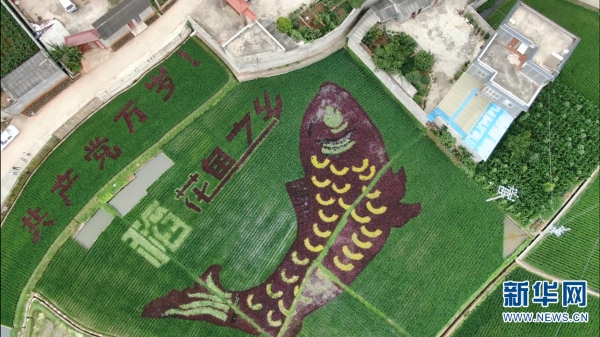 1310641220_16577108219111n