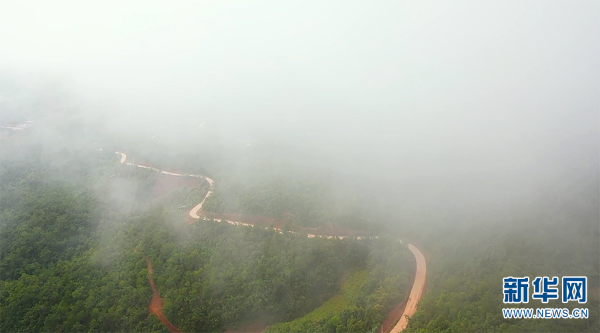 1310648158_16592338782321n