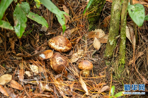 1310648158_16592338782641n