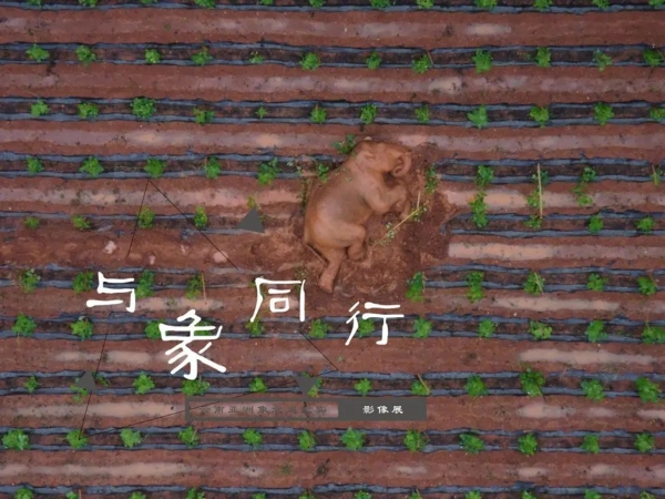 1310648455_16593208442621n 1310648455_16593208442621n