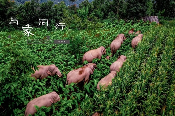 1310648455_16593208442861n 1310648455_16593208442861n