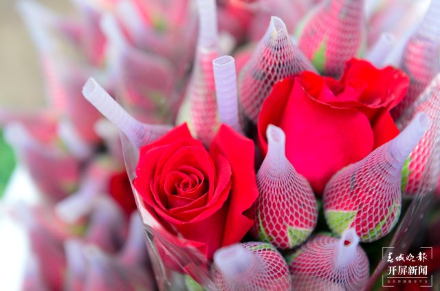 旅客来昆明斗南过七夕 惊叹玫瑰花10元一把 (7).jpg