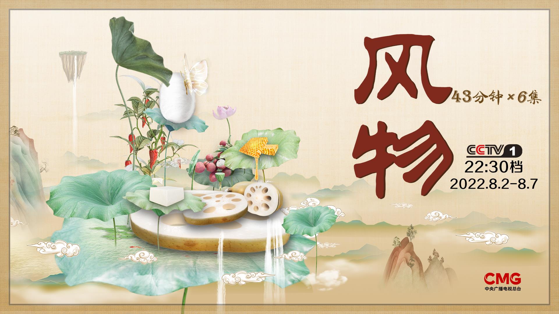 期待!总台2022暑期精品节目邀您悦享好时光