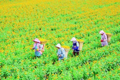 云南：跨越式发展绽新颜