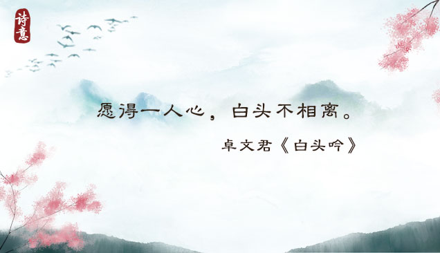 七夕!共赴一场优雅浪漫的“爱情诗词大会”