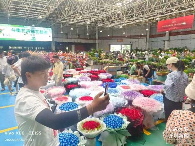 日均拍卖成交量近700万支!“浪漫经济”催生斗南鲜花量价齐升(闵楠 摄)