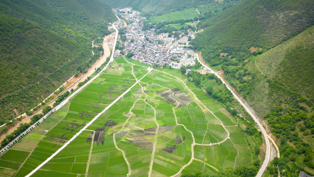 微信图片_20220806210550.jpg?x-oss-process=style/w10