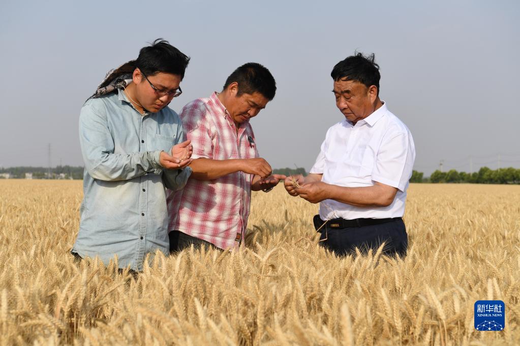 1128905358_16601401014721n