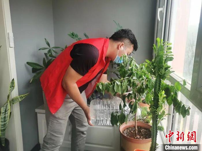 一名志愿者帮助家中无人住户浇花。 尤肖英 摄 一名志愿者帮助家中无人住户浇花。 尤肖英 摄