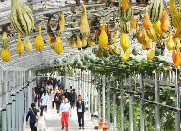 特色产业“领跑”致富路。耿玉和摄