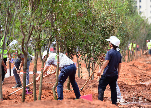 20220820_151226_011 20220820_151226_011