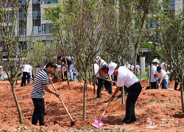 20220820_151226_012 20220820_151226_012