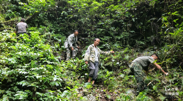 文山广南：838.6万亩森林筑起绿色生态安全屏障