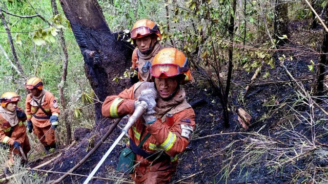 丽江玉龙“4 (6).png