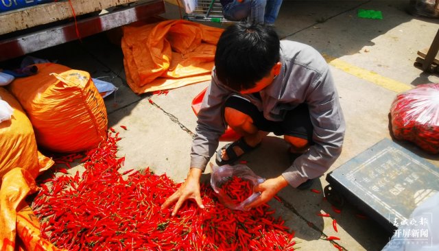 临时交易市场已启用（ 春城晚报-开屏新闻记者 林舒佳 李强 摄）