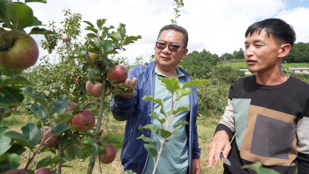 县农业局送来技术指导