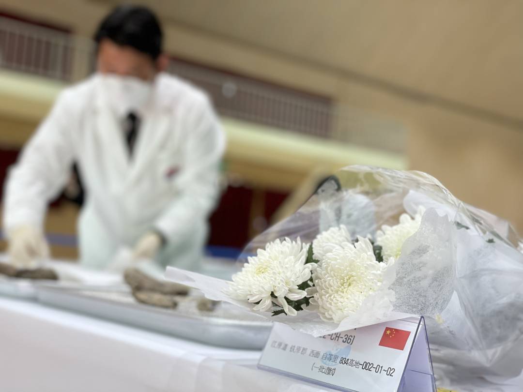 1663205124992580.jpg?x-oss-process=style/w10 3342858692e58d7b0e3b03442f40ead.jpg?x-oss-process=style/w10