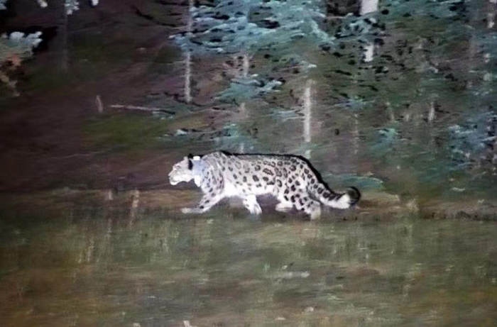 131785_4096x10000 131785_4096x10000