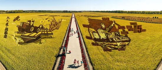 稻谷飘香 丰收在望 稻谷飘香 丰收在望