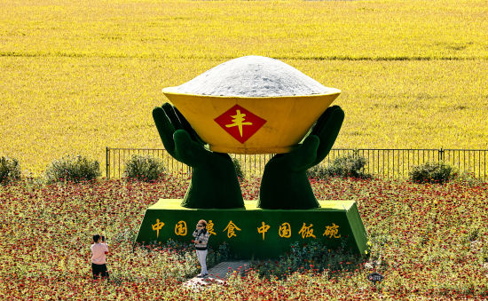 稻谷飘香 丰收在望 稻谷飘香 丰收在望