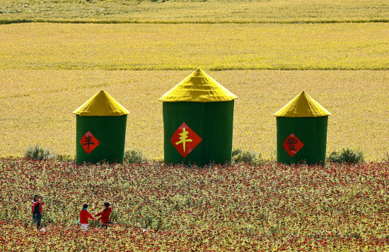 稻谷飘香 丰收在望 稻谷飘香 丰收在望