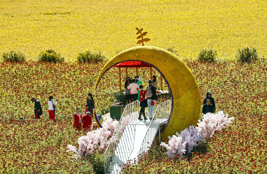 稻谷飘香 丰收在望 稻谷飘香 丰收在望