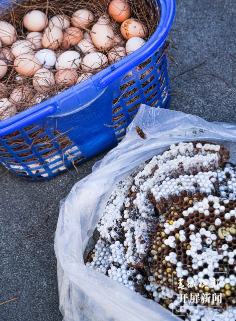 德宏菜市场（开屏新闻记者 马楠 通讯员 胡佩灵 杨晓玲 摄）