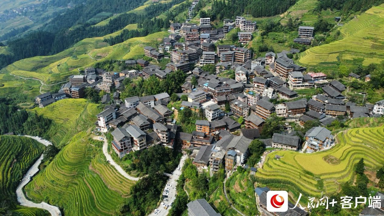 龙脊梯田上,房屋错落有致。何善权 摄 龙脊梯田上,房屋错落有致。何善权 摄