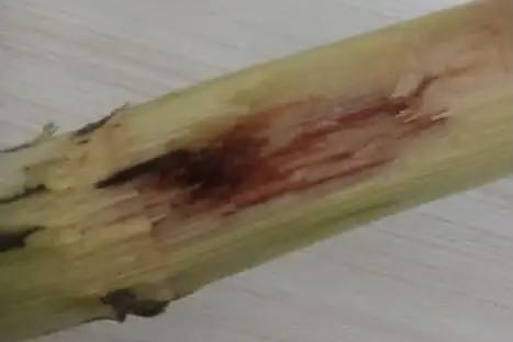 20220926_080959_003 20220926_080959_003