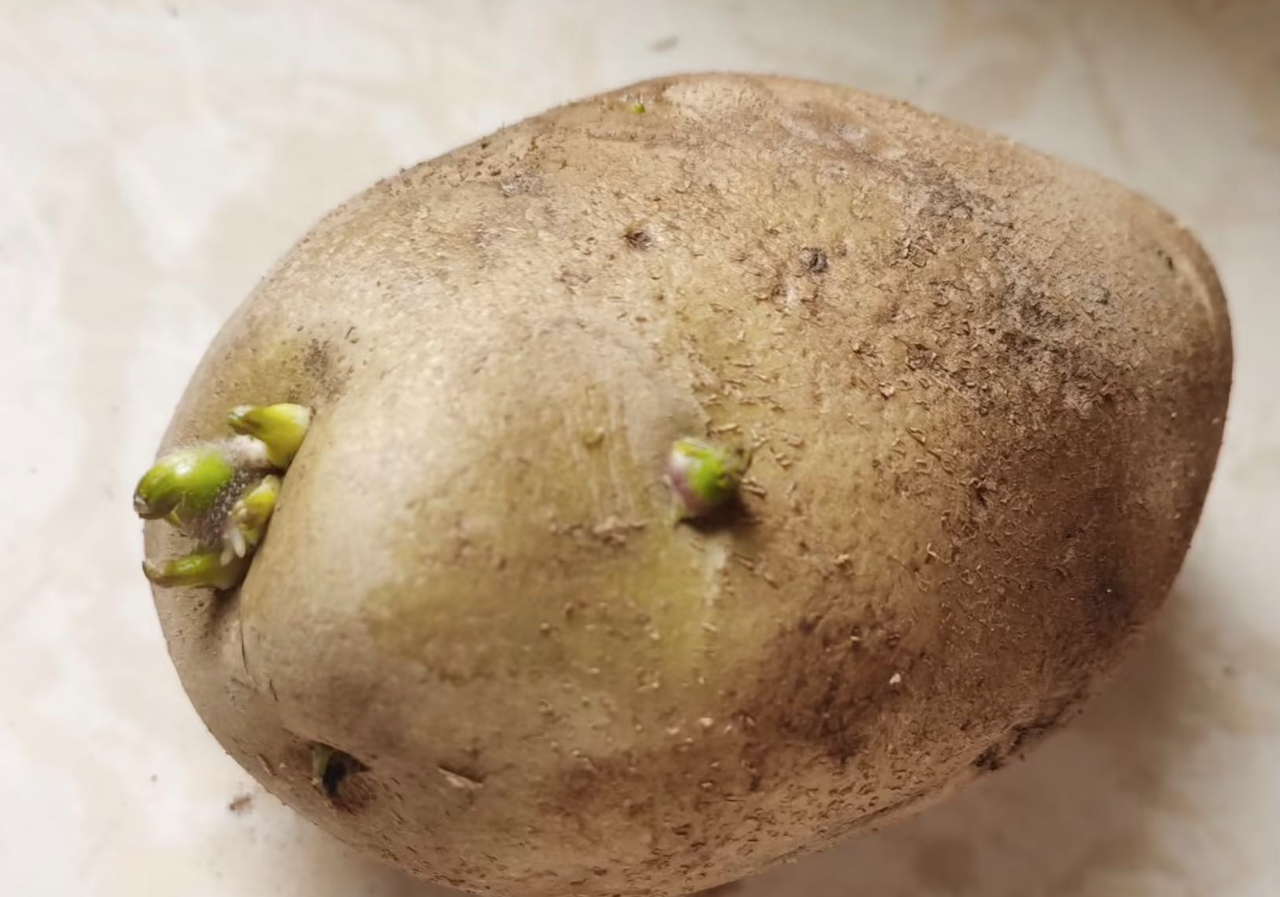 20220926_080959_004 20220926_080959_004