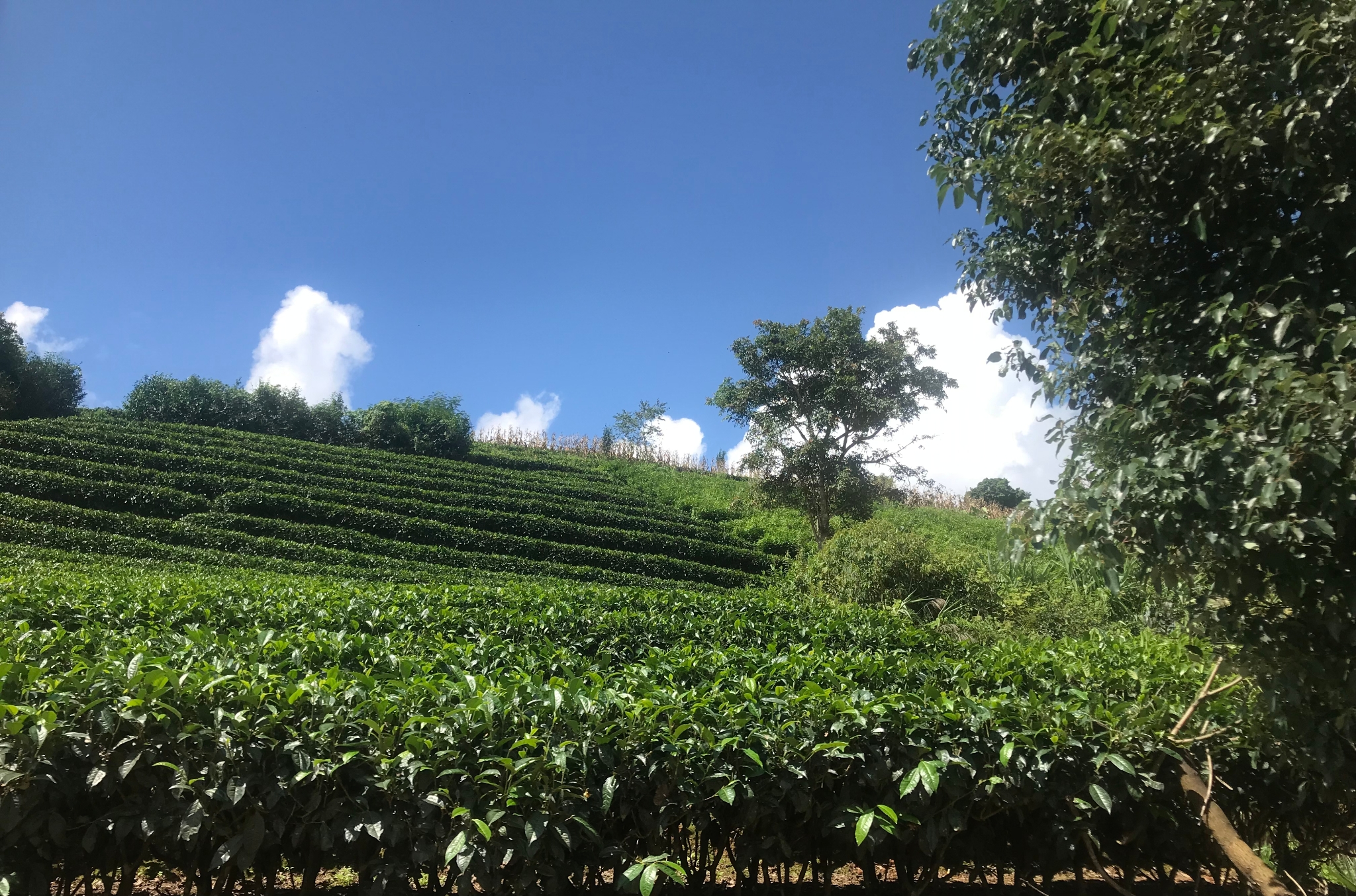 微信图片_20220927110835